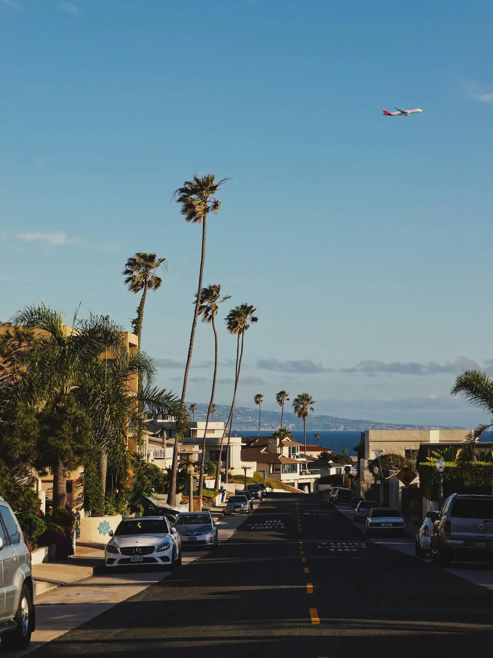 Row of tall Mexican fan palms against the sky in Pomona, CA