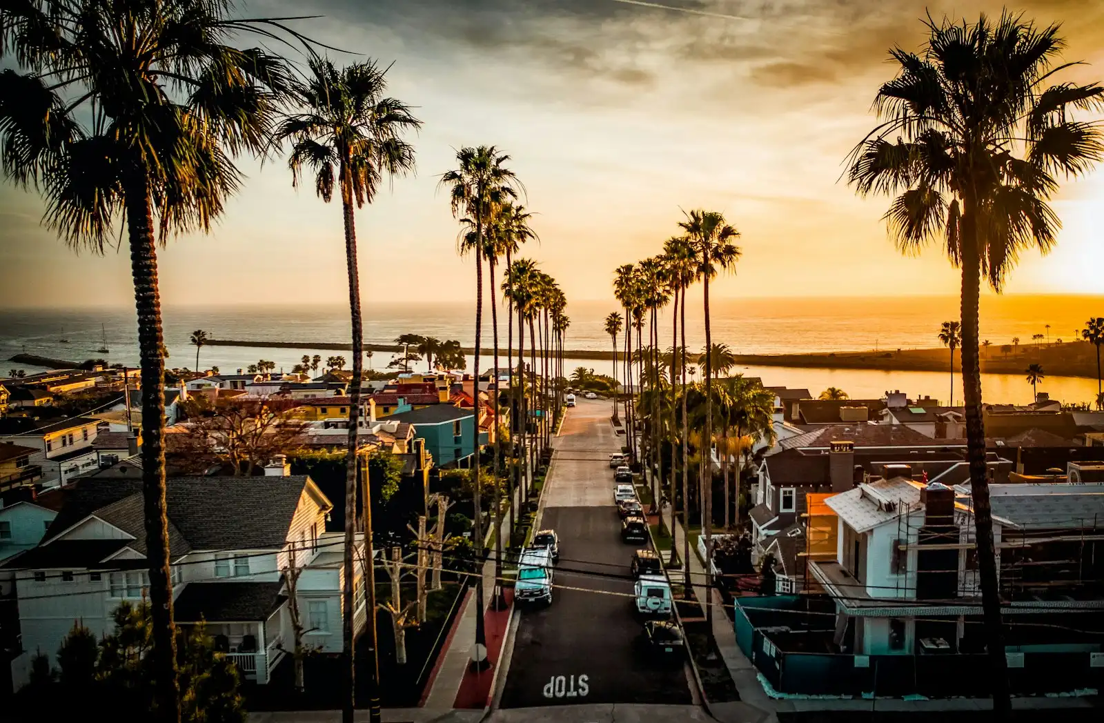 Tall fan palms lining a residential street under a clear sky in Pomona, CA